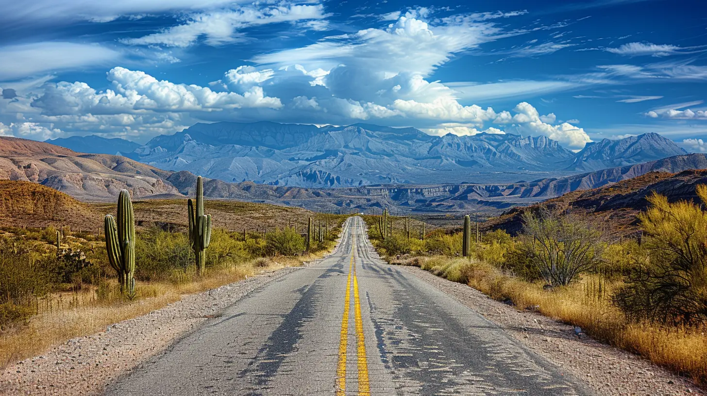 Experience the Beauty of North America's Deserts