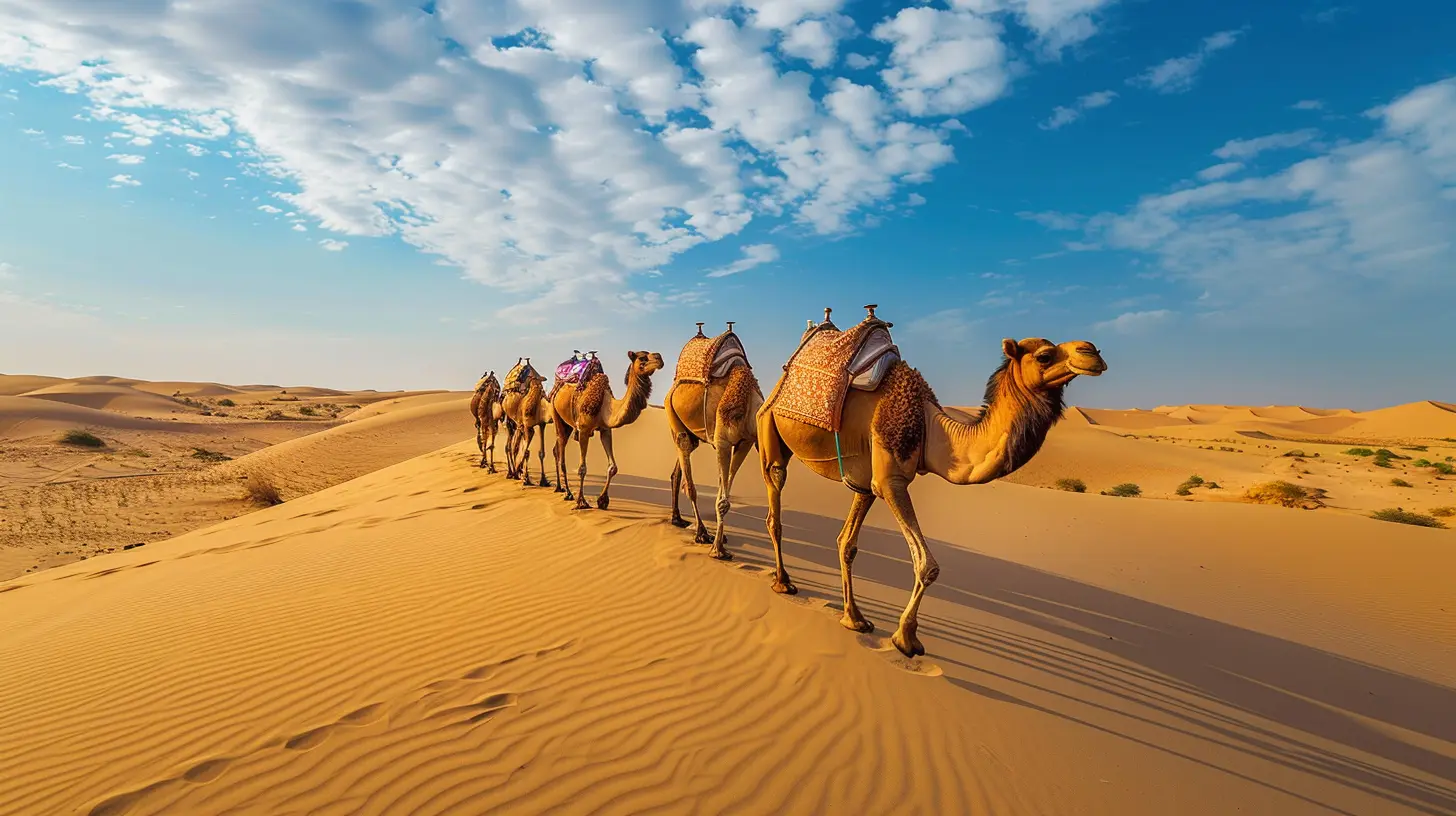 The Golden Sands of the Thar Desert: Rajasthan’s Frontier