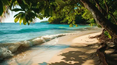 Discovering the World’s Best Hidden Beaches