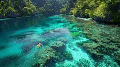 Emerald Waters Exotic Island Lagoons You Have To See To Believe
