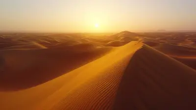 Experience the Beauty of North America's Deserts