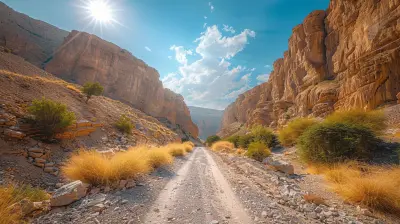 Finding Tranquility in the Silence of the Desert