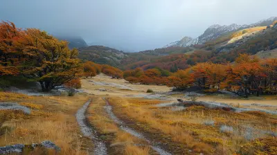 Journey To The Ends Of The Earth The Untouched Wilderness Of Patagonia