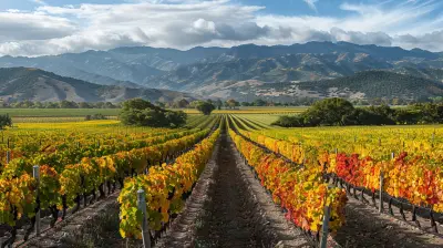 Off the Beaten Path: North America’s Lesser-Known Wine Regions