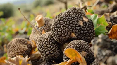 On the Trail of Truffles: A Foodie’s Guide to Gourmet Italy