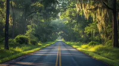 Southern Charm: Road Tripping Through the American South