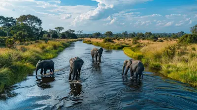 The Best International Destinations for Wildlife Enthusiasts