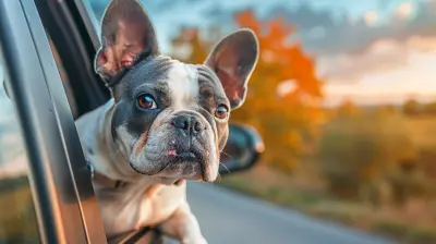 Traveling with Pets: What You Need to Know Before Hitting the Road