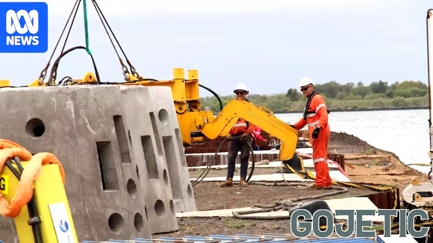 Controversy Surrounds New Artificial Reefs in Marine Park