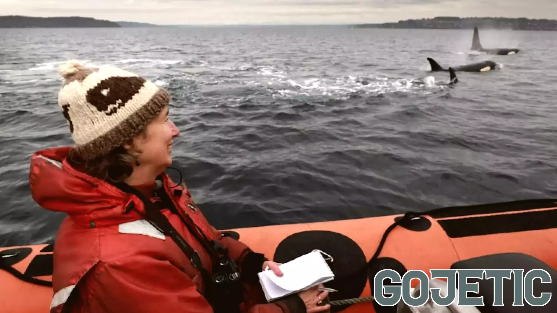 Exploring the Underwater Changes in Seattle's Elliott Bay