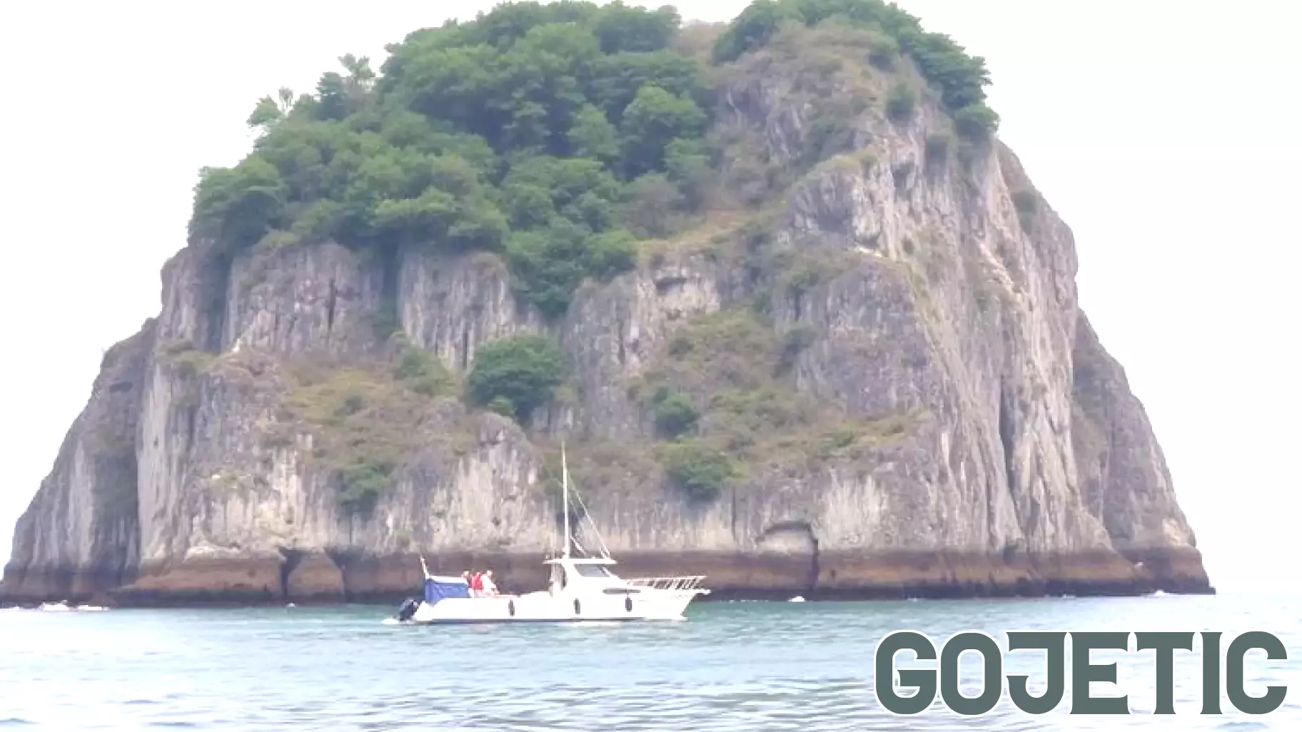 Jeju Island Yacht Route Plan Faces Environmental Criticism, Raising New Concerns About its Impact on Dolphin Sanctuary and Sustainable Tourism - Travel And Tour World