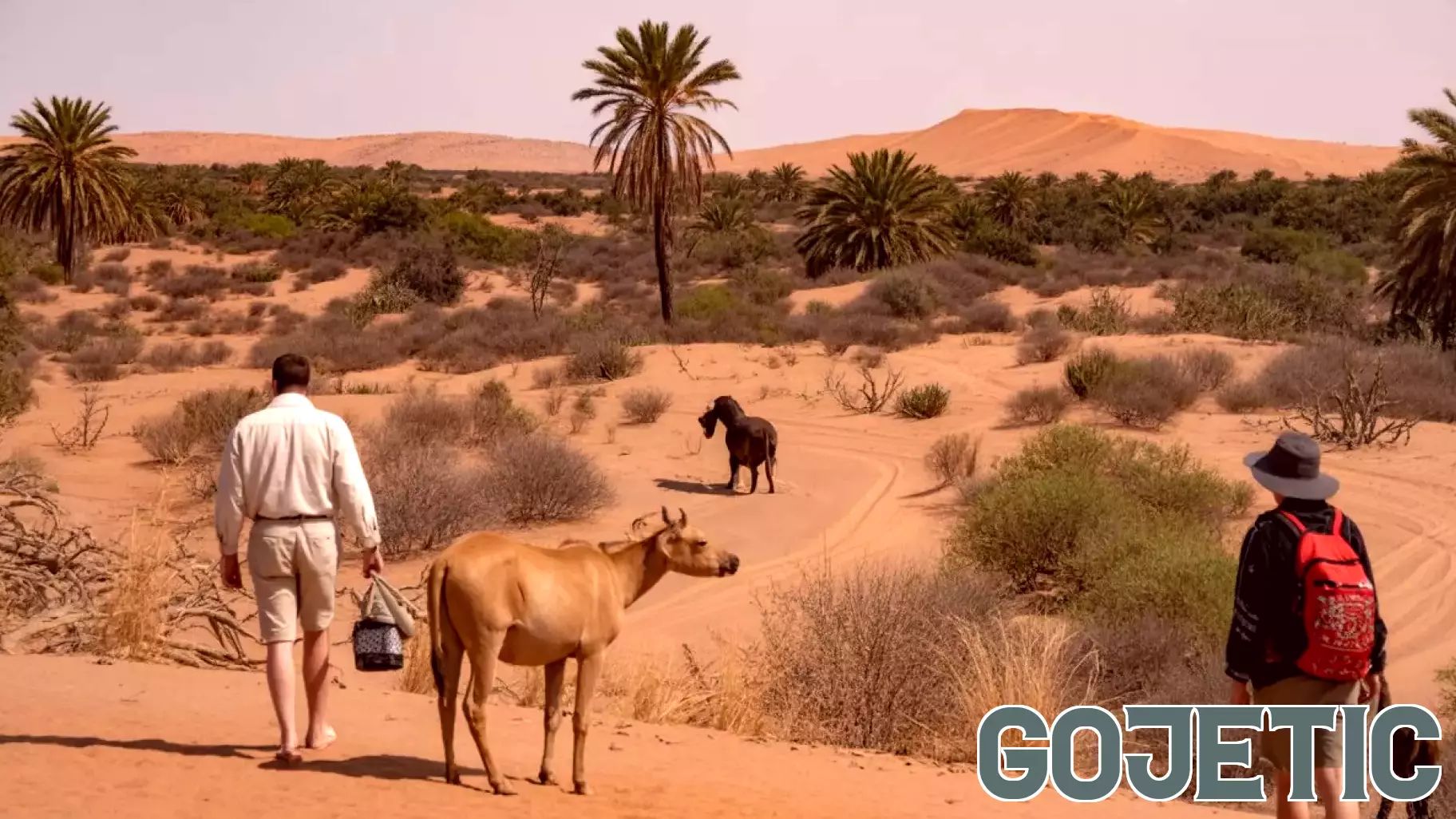Mali Confronts Tourism-Driven Environmental Challenges Amid Biodiversity Crisis