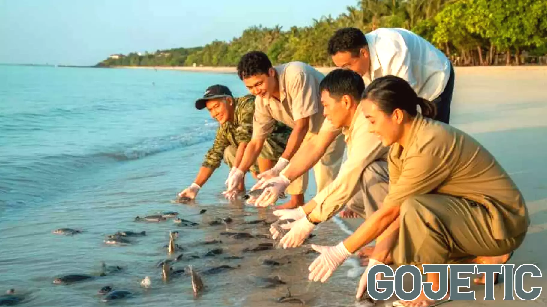 Pattaya Takes Major Steps in Marine Conservation with Juvenile Species Release - Travel And Tour World