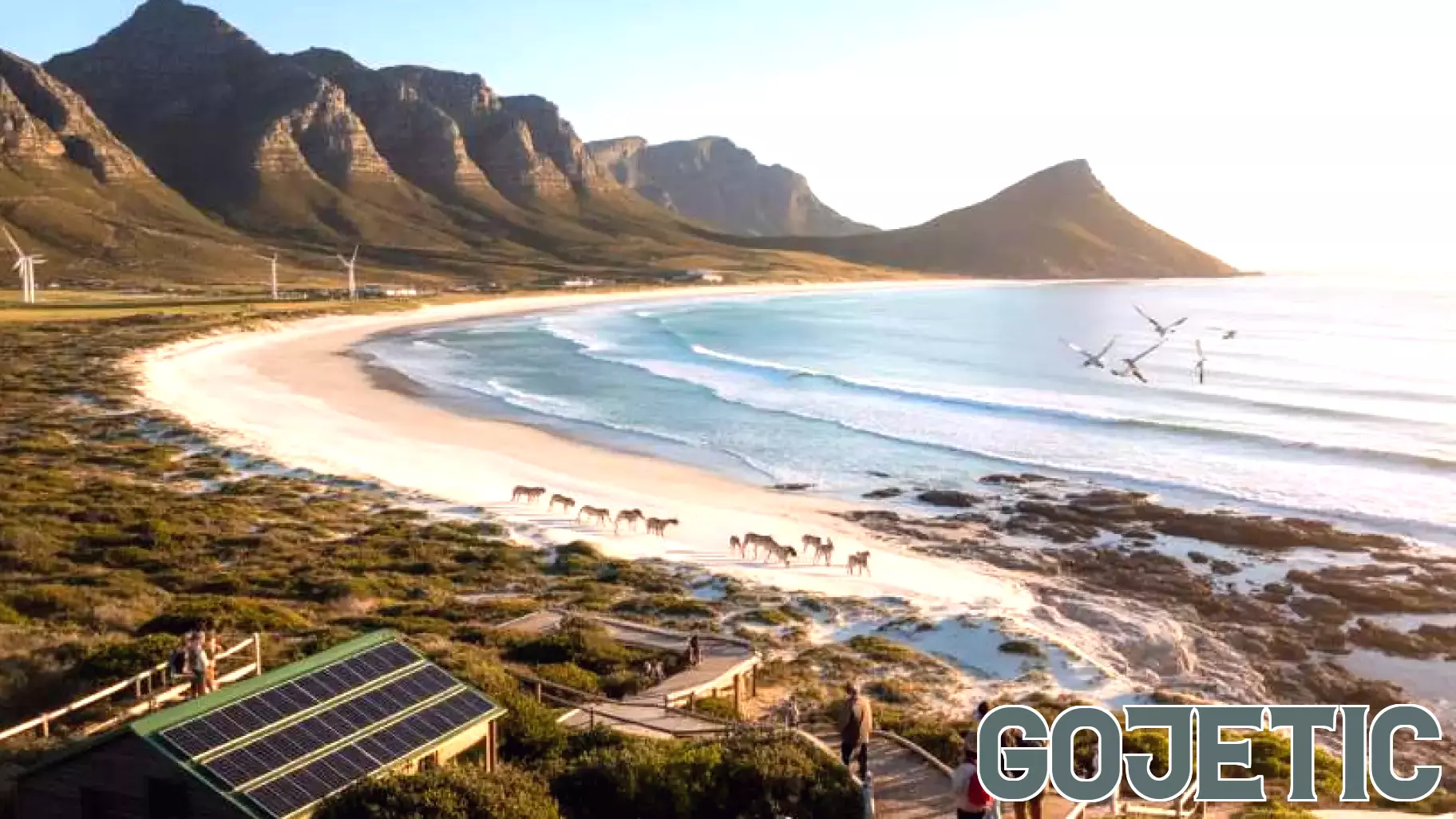 Rising Tourism in Western Cape, South Africa, Calls for Urgent Biodiversity Protection