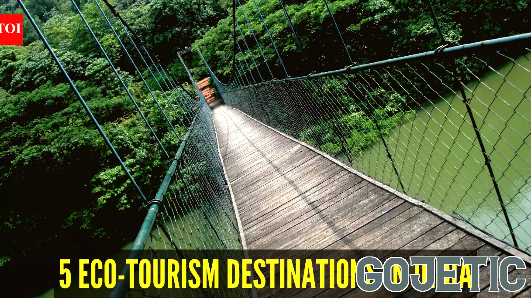 World Environment Day 2026: 5 eco-tourism destinations in India that are saving nature while welcoming travellers