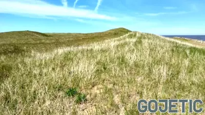 Call for Protection of Parks Against Development Proposals