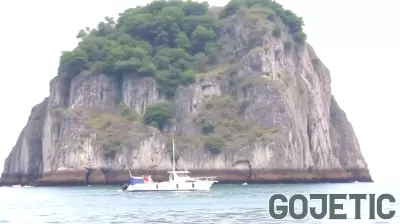 Jeju Island Yacht Route Plan Faces Environmental Criticism, Raising New Concerns About its Impact on Dolphin Sanctuary and Sustainable Tourism - Travel And Tour World