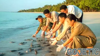 Pattaya Takes Major Steps in Marine Conservation with Juvenile Species Release - Travel And Tour World