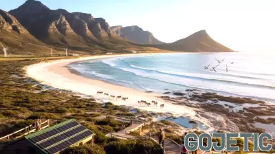 Rising Tourism in Western Cape, South Africa, Calls for Urgent Biodiversity Protection