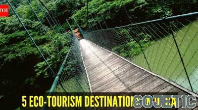 World Environment Day 2026: 5 eco-tourism destinations in India that are saving nature while welcoming travellers